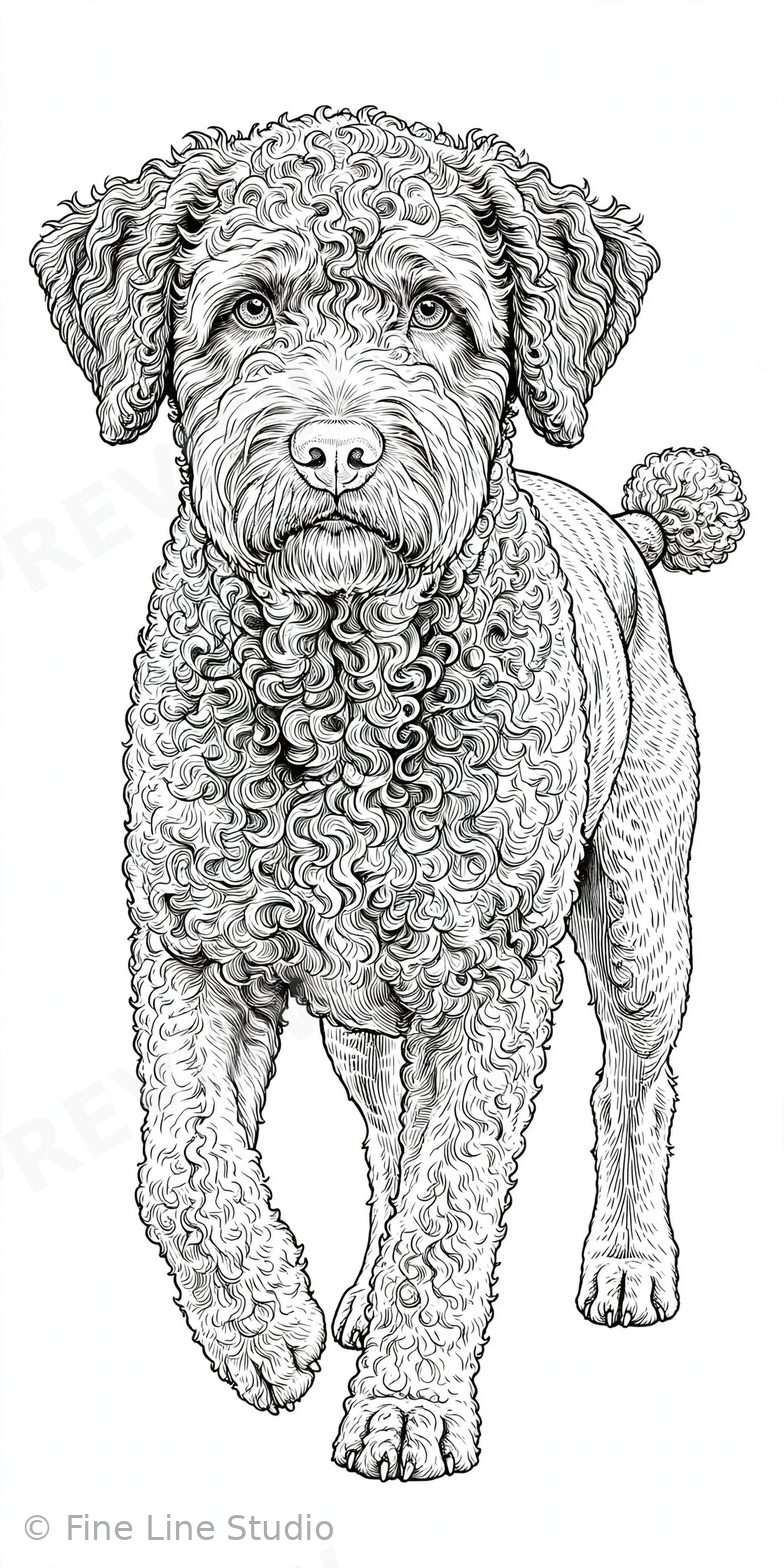 German Shepherd coloring book cover